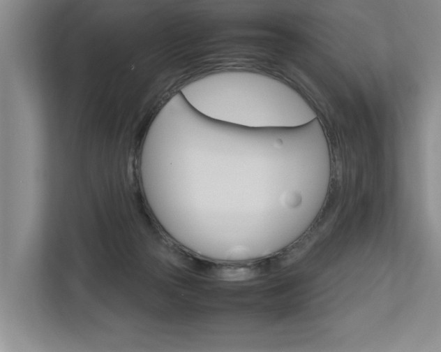 X0000113040169200908271042