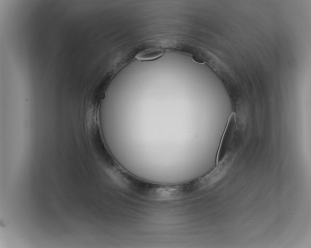 X0000113040172200908271042