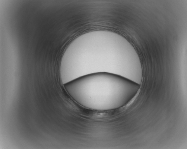 X0000113040174200908271042