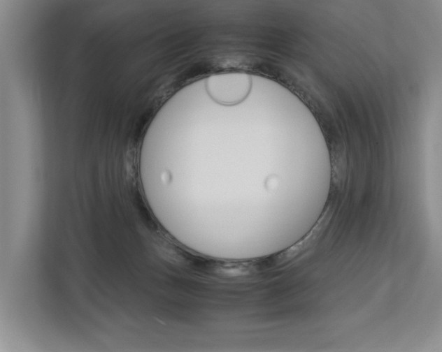 X0000113040175200908271042