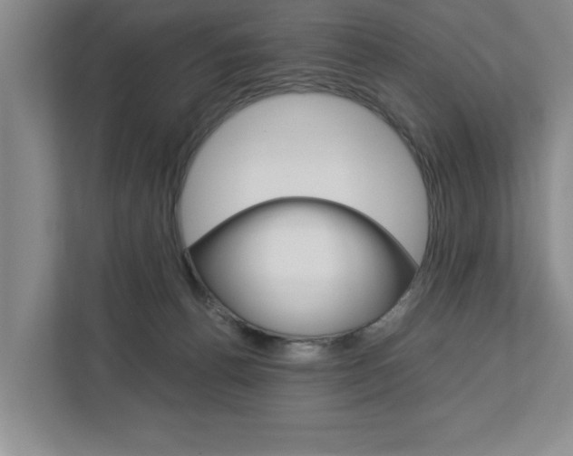 X0000113040176200908271042