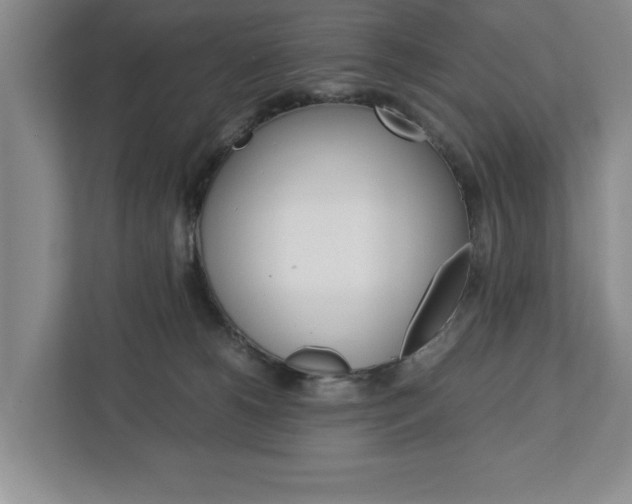 X0000113040180200908271042