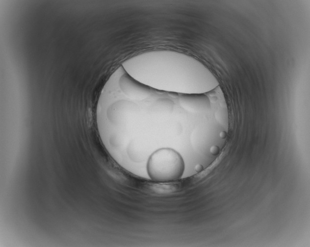 X0000113040183200908271042