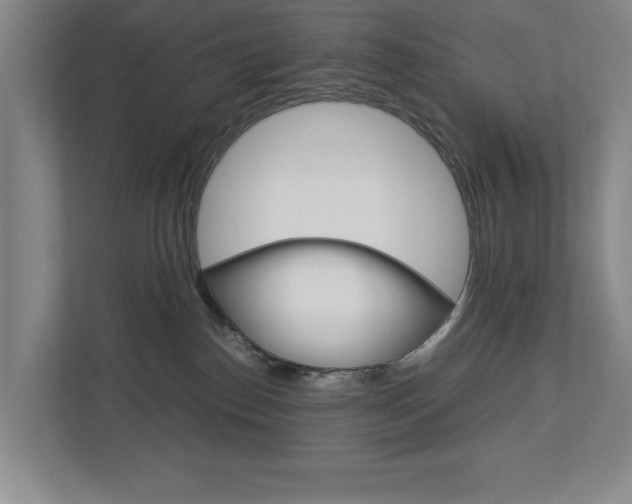 X0000113040186200908271042