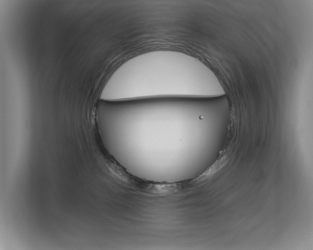 X0000113040188200908271042