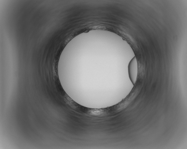 X0000113040189200908271042