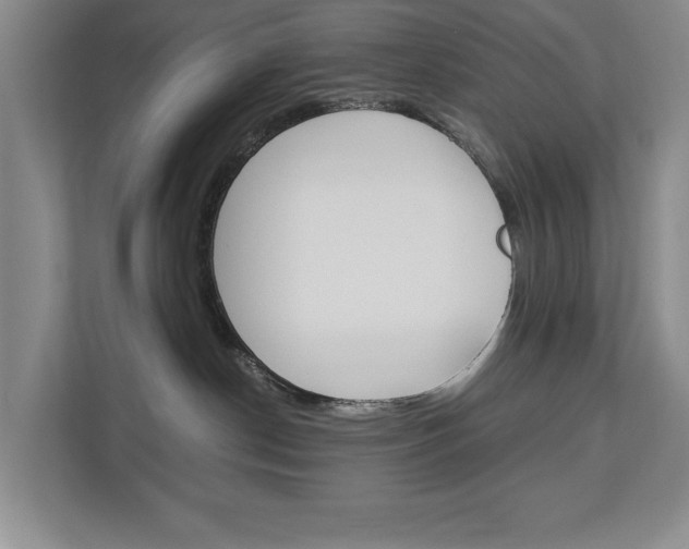 X0000113040190200908271042