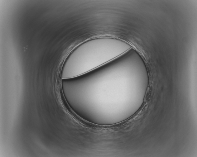 X0000113040193200908271041