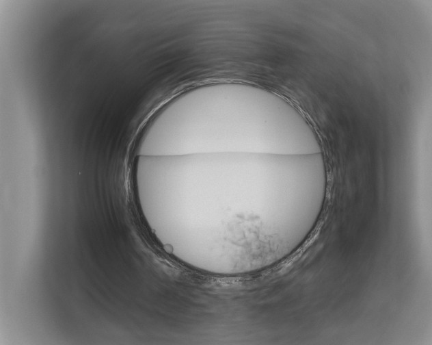 X0000113040194200908271041
