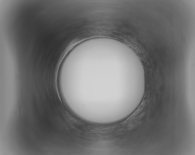 X0000113040195200908271041