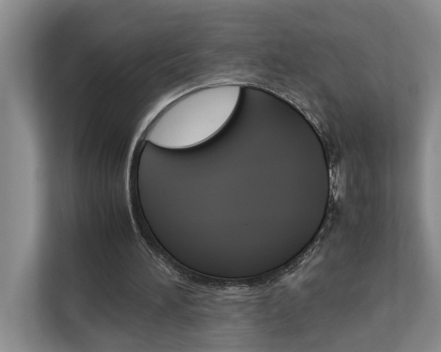 X0000113040196200908271041