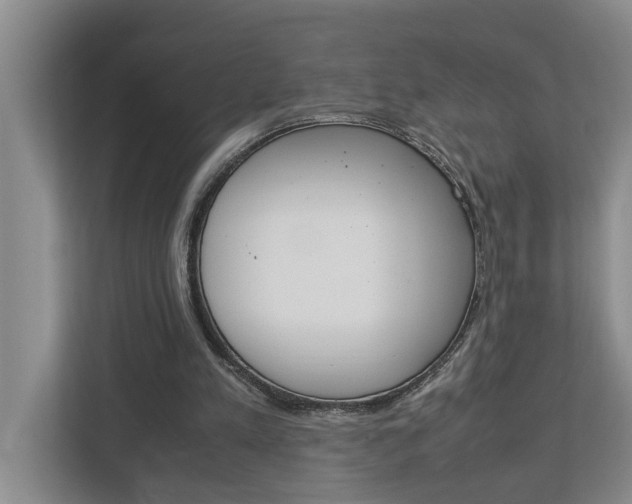 X0000113040197200908271041