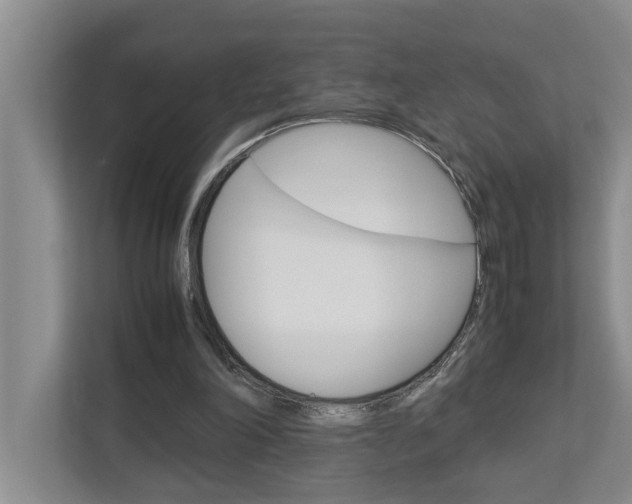 X0000113040198200908271041