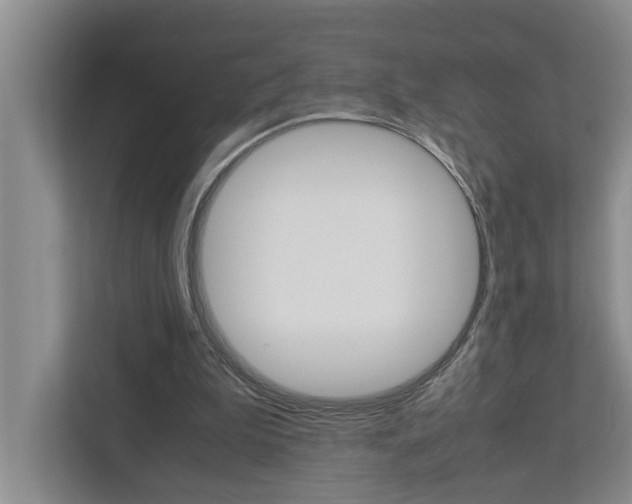 X0000113040199200908271041