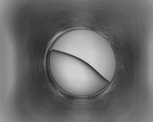 X0000113040200200908271041