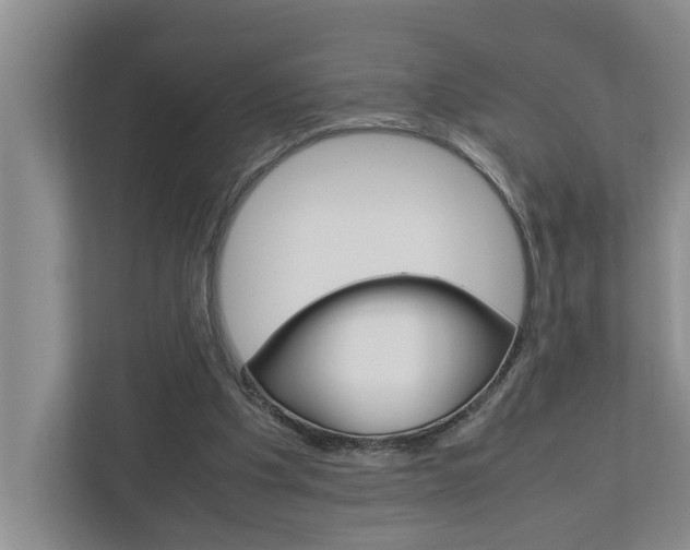 X0000113040201200908271041