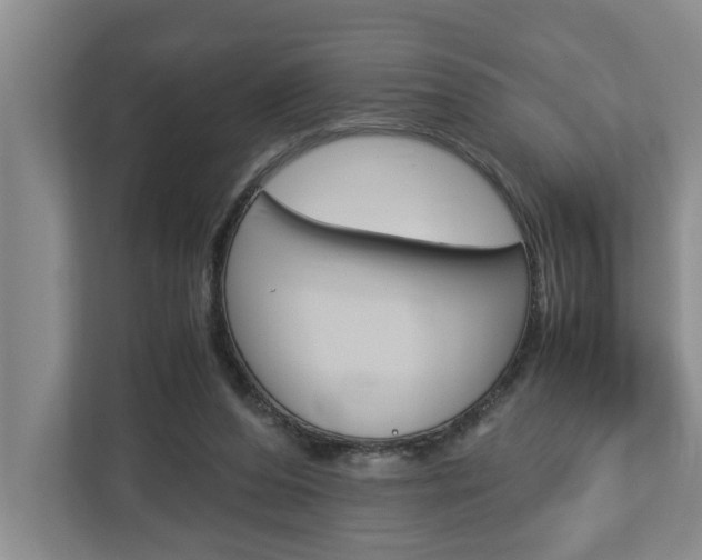 X0000113040208200908271041