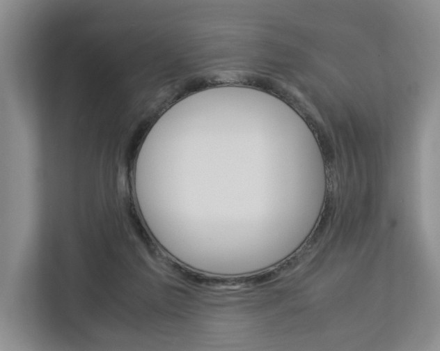 X0000113040213200908271041