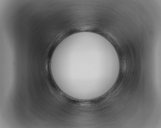 X0000113040214200908271041