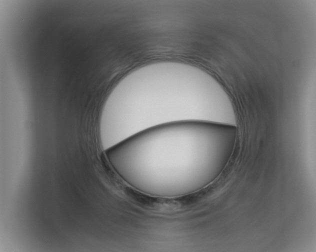 X0000113040215200908271041