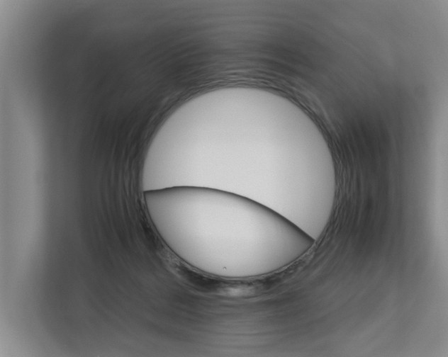 X0000113040220200908271041