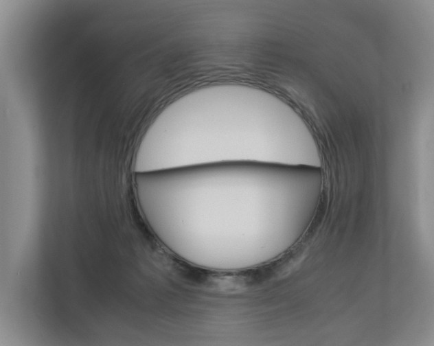 X0000113040221200908271041
