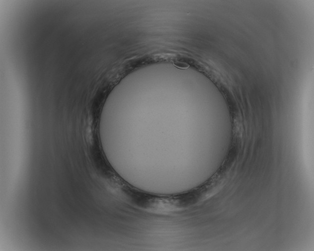 X0000113040223200908271041