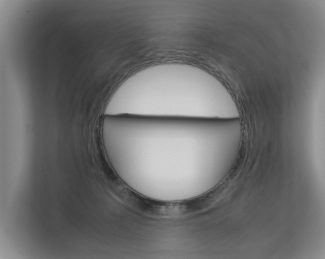 X0000113040225200908271041
