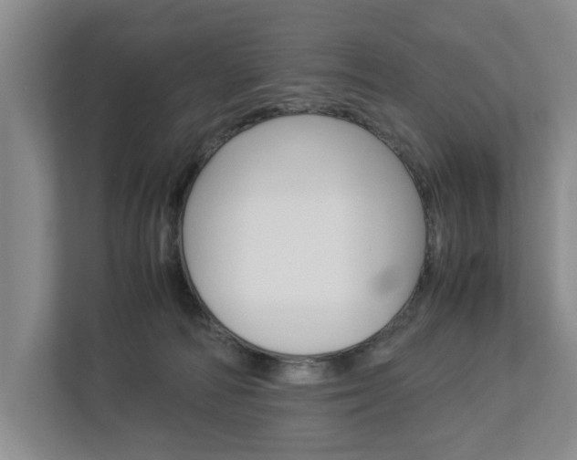 X0000113040226200908271041