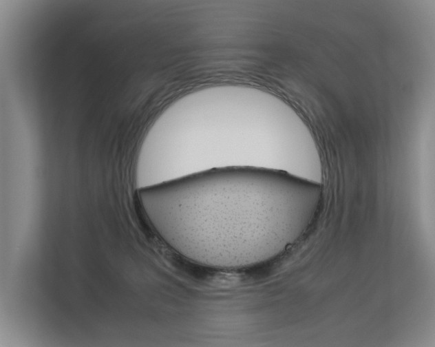 X0000113040227200908271041
