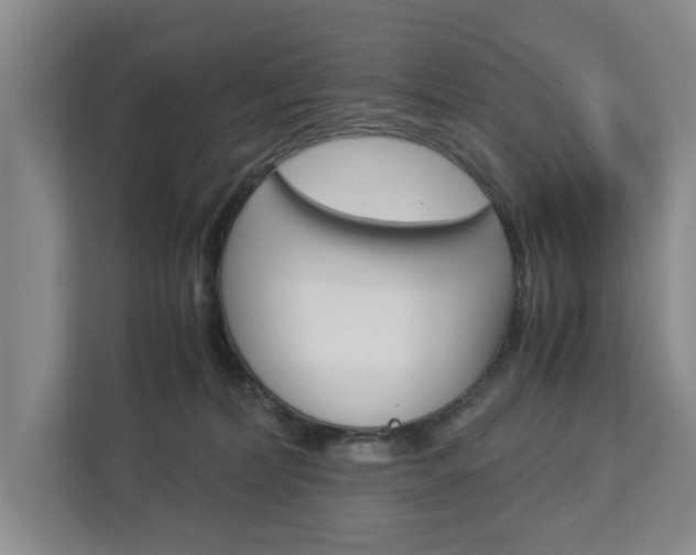 X0000113040228200908271041