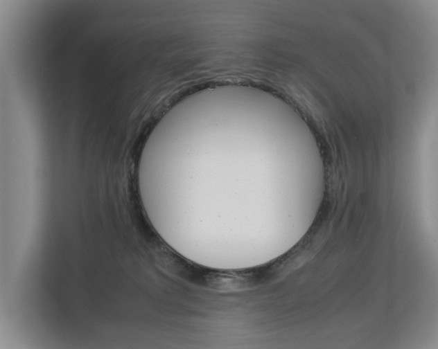 X0000113040229200908271041