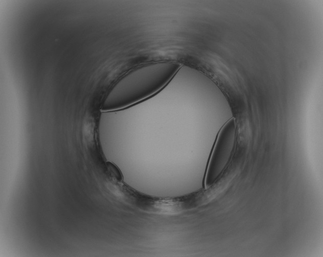 X0000113040231200908271041