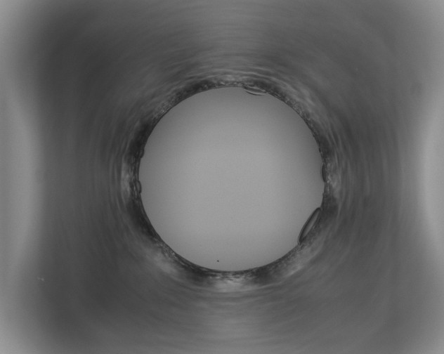 X0000113040235200908271041