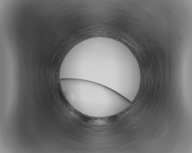 X0000113040236200908271041