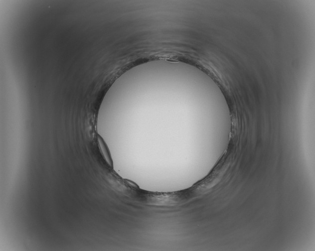 X0000113040237200908271041