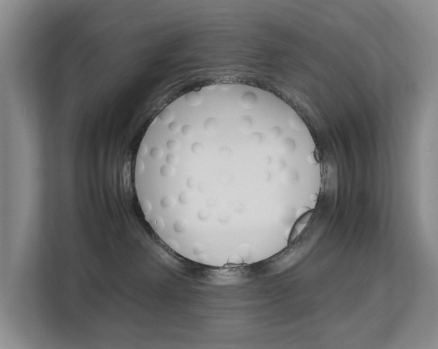 X0000113040238200908271041