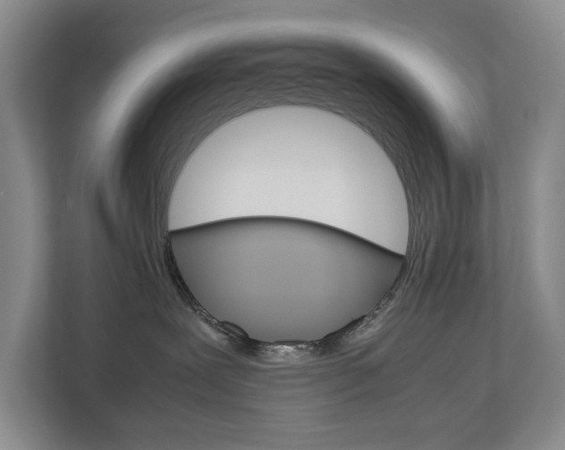 X0000113040239200908271041