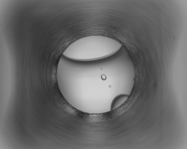 X0000113040240200908271041