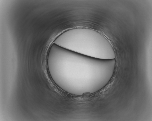 X0000113040241200908271040