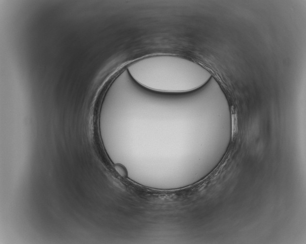X0000113040243200908271040