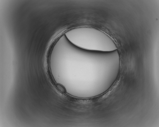 X0000113040245200908271040
