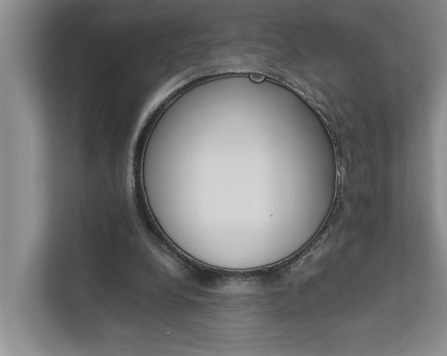 X0000113040248200908271040