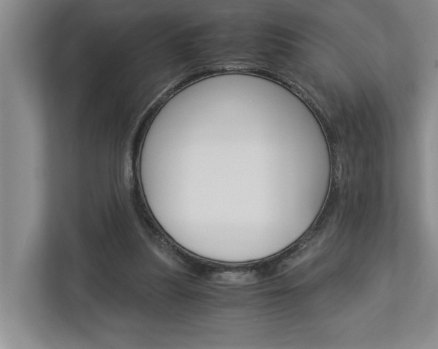 X0000113040251200908271040