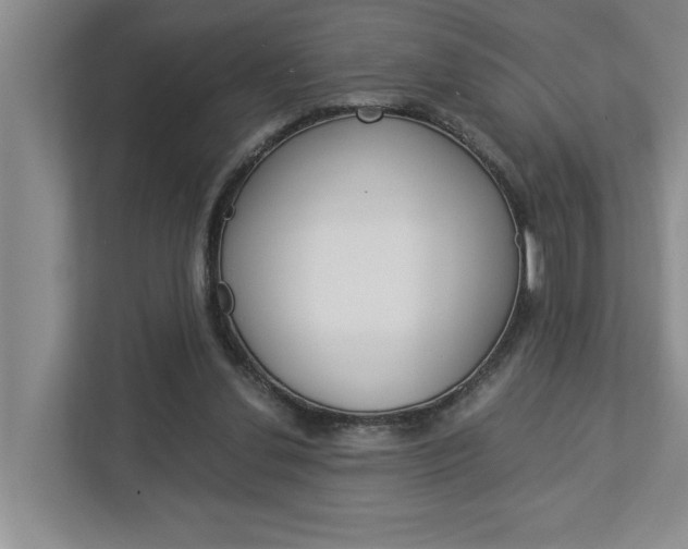 X0000113040252200908271040