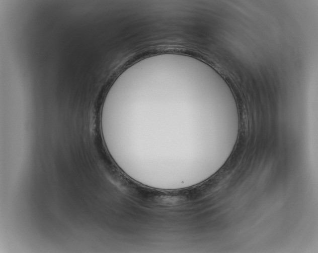 X0000113040255200908271040