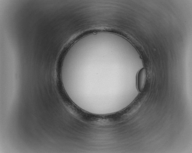 X0000113040256200908271040