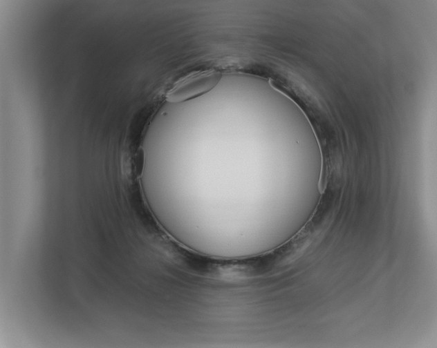 X0000113040268200908271040