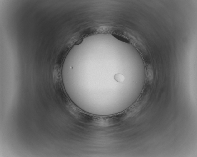 X0000113040276200908271040