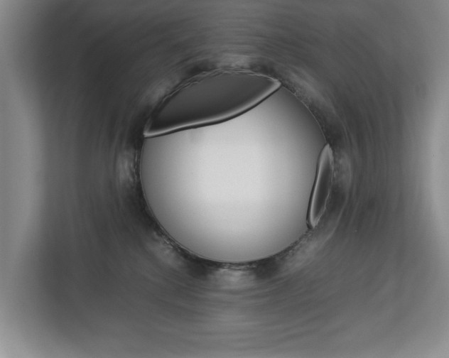 X0000113040280200908271040